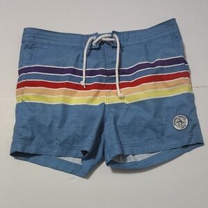 Original Penguin Stripes Swim Trunks Inner Mesh Mens - Size 30
